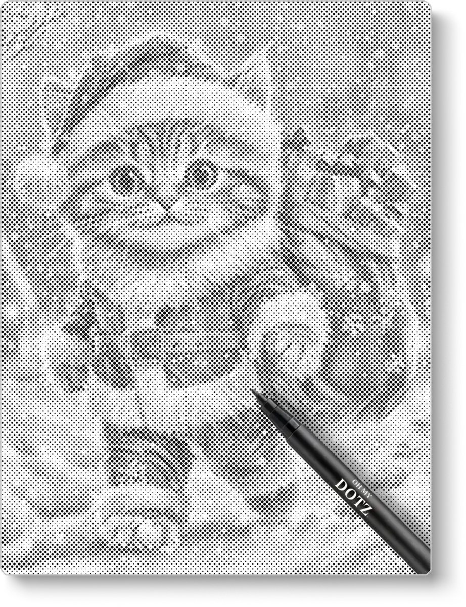 Kerst Kat | Stippelschilderij | 30x40cm | Dot painting | Oh My Dotz | One color dots | Diamond painting & Schilderen op nummer alternatief | Cadeau